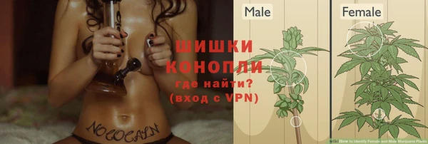 тгк Няндома