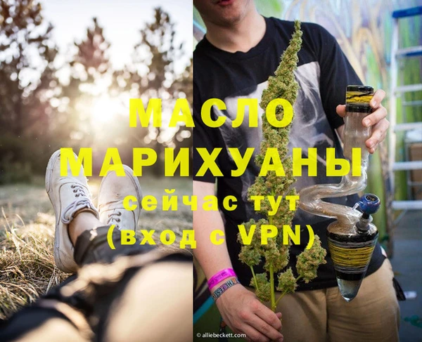 тгк Няндома