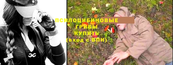 дмт Бронницы