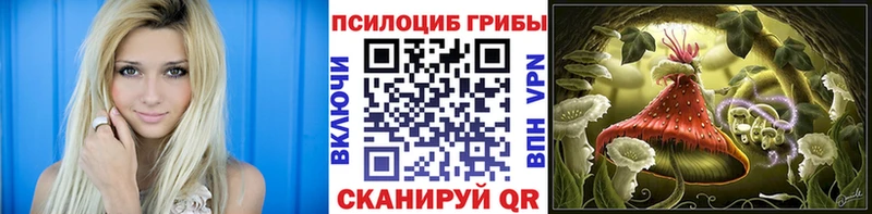 где найти наркотики  Топки  kraken   Галлюциногенные грибы прущие грибы 