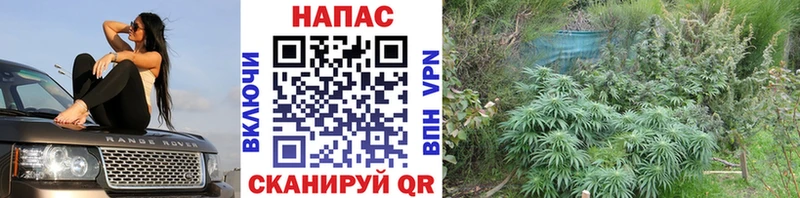 Бошки марихуана AK-47  дарнет шоп  Топки 